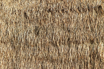 Thatched palm leaf roof © dima266f