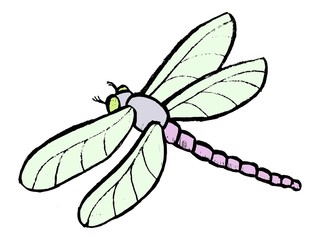 Dragonfly