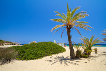 Beach Vai called "Bounty beach" on Crete, Greece