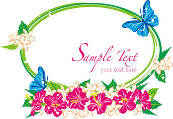 フレーム　トロピカル