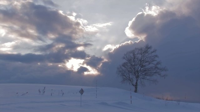 Snowfield in Biei,Sunset time,Hokkaido,Japan