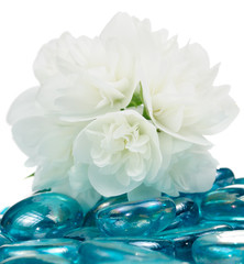 Delicate White Jasmine Flowers on Blue Glass Stones