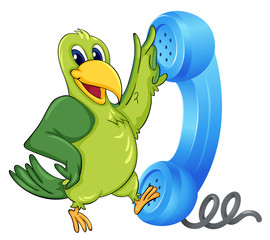 a bird with receiver