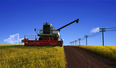 Fototapeta premium harvesting