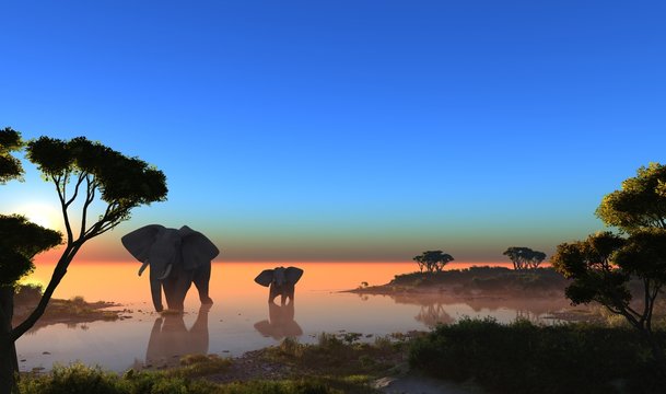 Elephants.