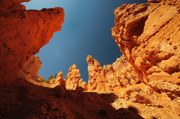 A view of Bryce Canyon from a Trail