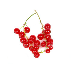 ripe currant