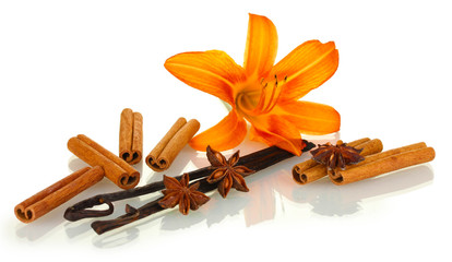 Vanilla pods with spices isolated on white