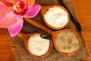 Fototapeta na wymiar Vanilla pods with vanilla and vanilla sugar in wooden spoons
