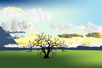 Obraz premium samotne drzewo