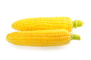 Corn cob