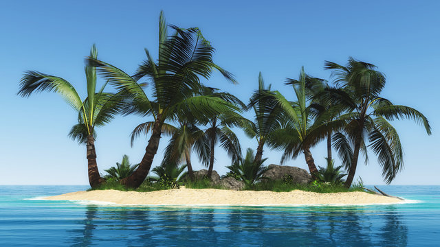 kleine Insel mit Palmen