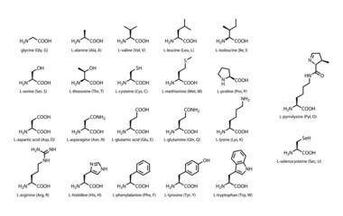 The 22 standard amino acids - chemical structures