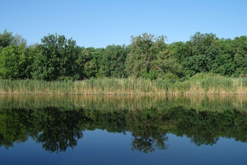 View on the river , spring .Ukraine. 