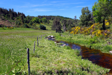 paysage du cantal © rochagneux