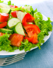 vegetable salad on plate