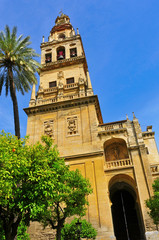 Fototapeta na wymiar Cathedral-Mosque of Cordoba, Spain