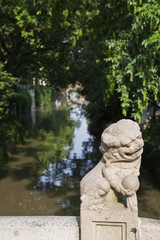 Fototapeta na wymiar lion in Chinese garden