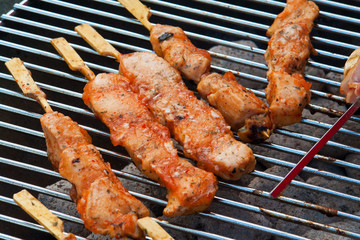 Delicious Asian Oriental Cuisine Chicken Satay