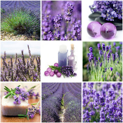 Lavender collage with nine photos