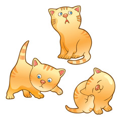 Funny kittens illustration