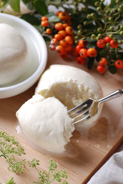mozzarella di bufala campana freschissima - quattro