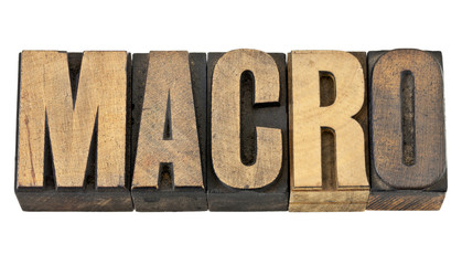 macro word in wood type