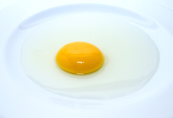 egg yolk in the plate