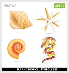 yellow sea shell and dragon symbols set