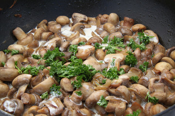 champignons