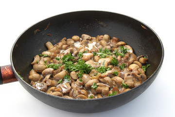 champignons