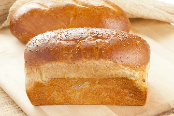 Fresh Organic Whole Wheat Bread
