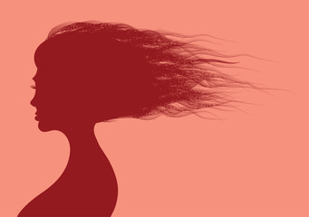 Beautiful woman hairs in silhouette illustration