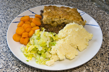 Suet meat pie