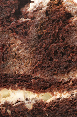 Chocolate cake close-up