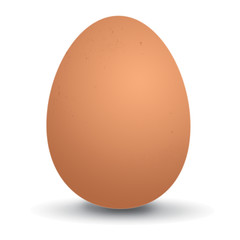 Ilustração de um ovo
