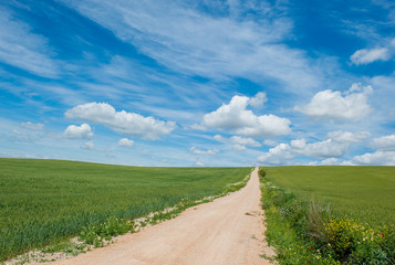 country road