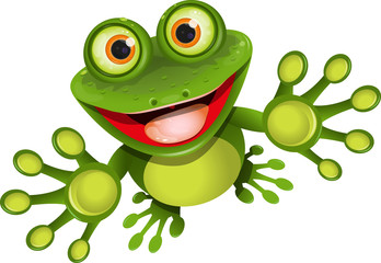happy frog - obrazy, fototapety, plakaty
