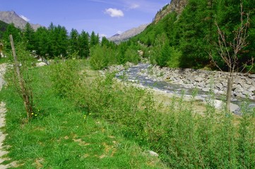 A trek around Val D'Aosta - Cogne