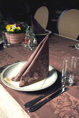 Plate and handkerchief