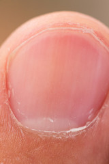 Fototapeta premium forefinger