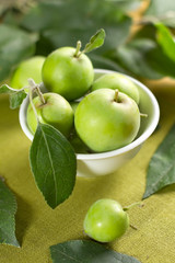 Small apples in the bowl and green leaves