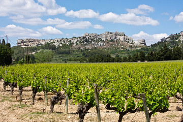 Fototapeta na wymiar Les Baux de Provence and Vineyard