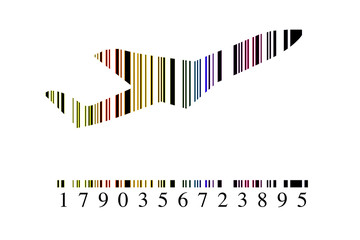 Código barras avión