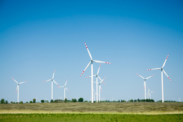 Fototapeta premium Wind turbine farm on rural terrain