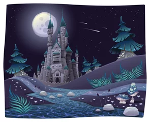 Foto op Aluminium Nightly panorama with castle. Cartoon and vector illustration. © ddraw