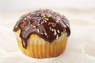 muffin