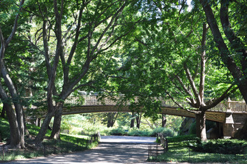 Central Park