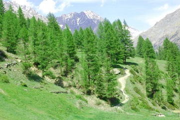 Fototapeta na wymiar Val D'Aosta - Cogne