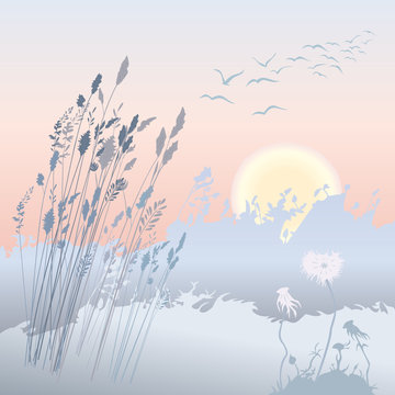 Sonnenaufgang mit Vogelzug